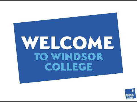 Law - Windsor College Summer Work