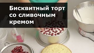 Сборка бисквитного торта со сливочным кремом и вишнями. Рецепт сливочного крема