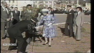 زلزال الأصنام (الشلف) ـ زيارة ملكة بريطانيا إليزابيث والأمير فيليب زلزال الأصنام (الشلف) ـ زيارة ملكة بريطانيا إليزابيث والأمير فيليب