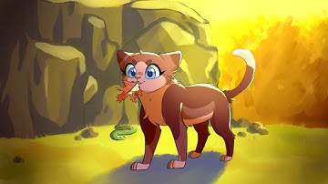 Just Add Water MAP part 11