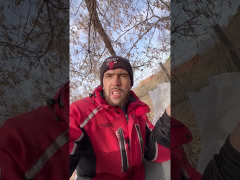 Сбор кленового и березового сока👍