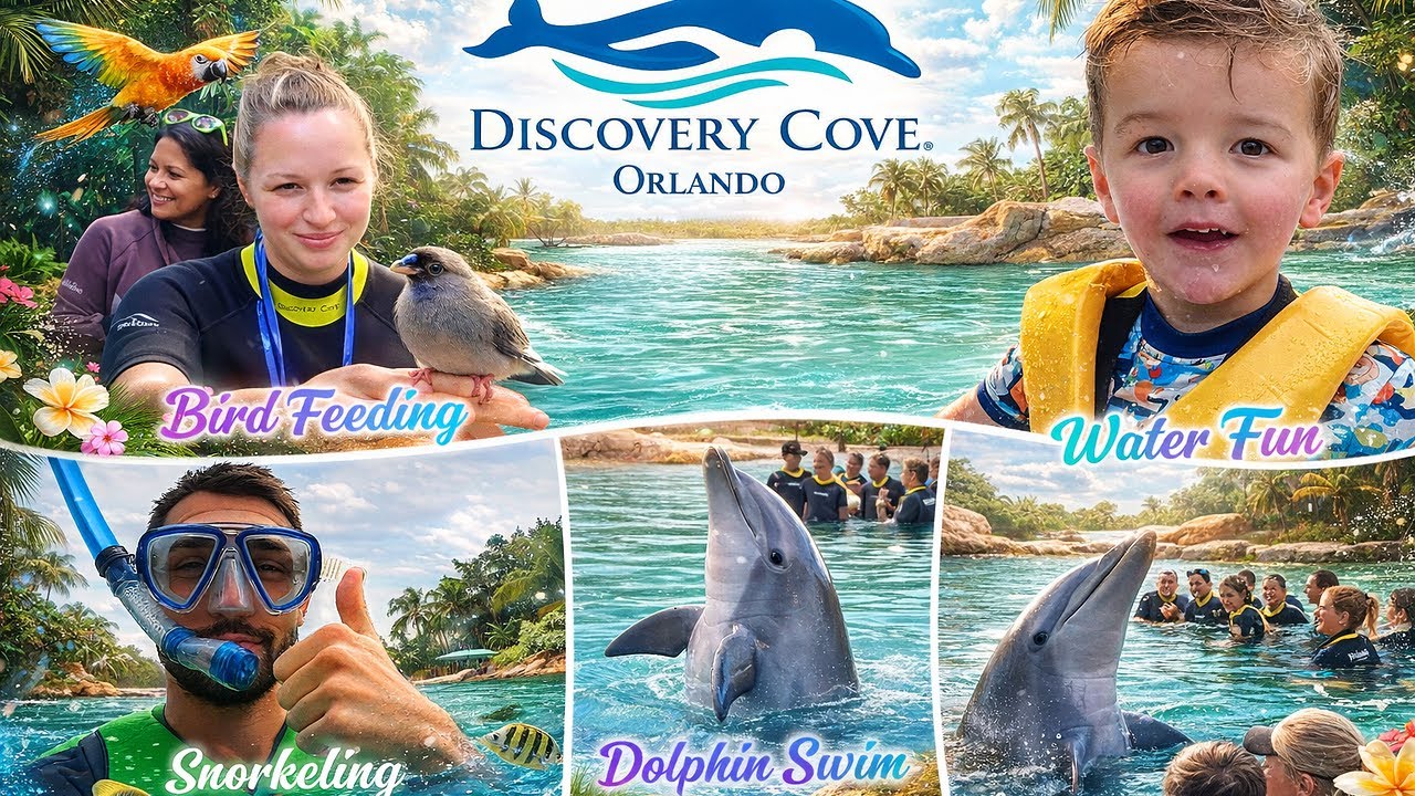 A Much-Needed Relax Day at Discovery Cove 🐬🌴| Day 10