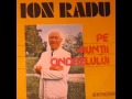 Ion radu   pe cararea din padure