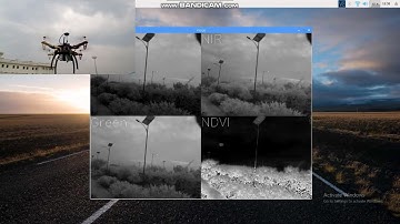 Unmanned Aerial Vehicle (UAV) based grayscale Normalized Difference Vegetation Index (NDVI)