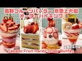 【高野フルーツパーラー京急上大岡店】オーダーバイキング　2023/12 ベリー