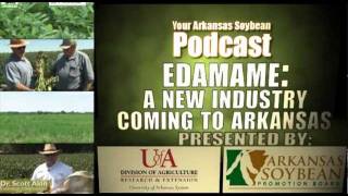 Edamame: A New Industry for Arkansas