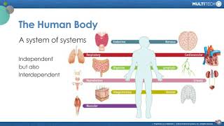 Smart Building as a Body: the Ultimate Systems of Systems