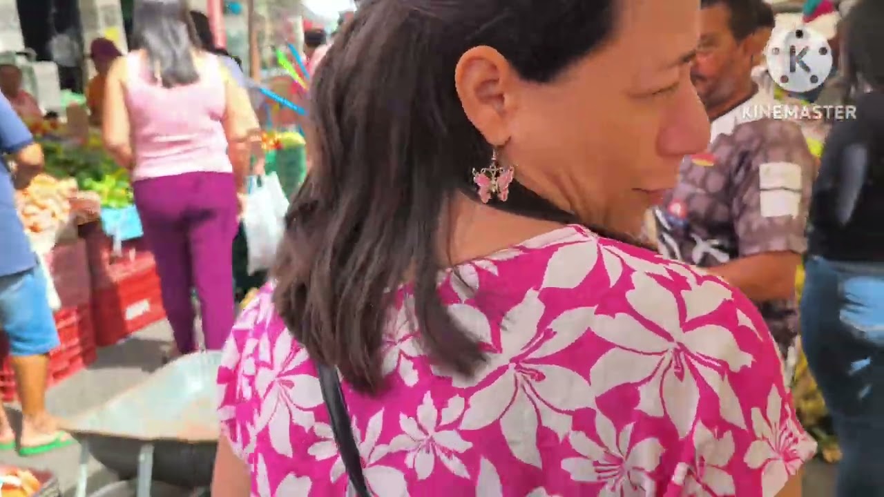 Viagem de Carro ao Nordeste Feira livre de Lajedo  EP 26