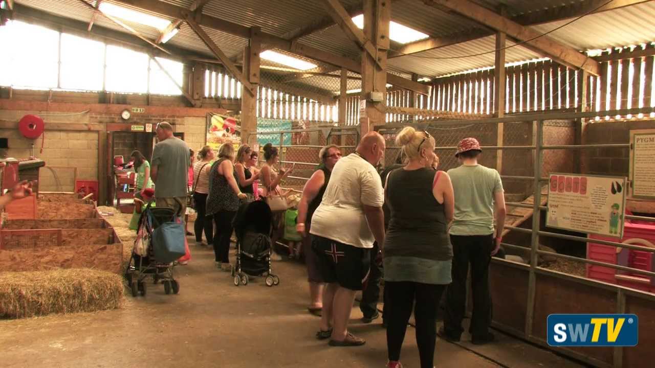 Roves Farm - Summer Update 2013 - YouTube