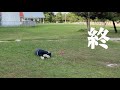 ももちゃん見てよ～ 最終回