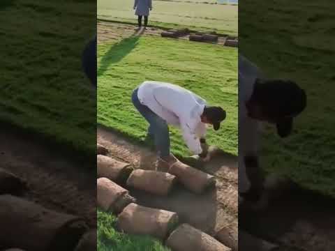 ملاعب كرة القدم لها نجيل خاص بها منها ما هو صناعى وايضا طبيعى وهناك طرق وأجهزة لزراعته يمكن العمل به