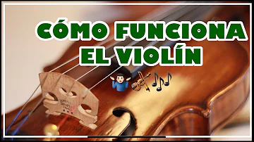 ¿Cómo funciona la viola?