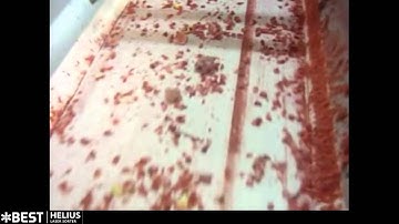 Frozen strawberry sorting machine Helius - TOMRA Sorting
