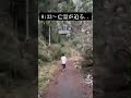 【危険】亡霊が迫る..旧小峰トンネル...【心霊スポット】