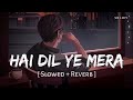 Mind Relaxing SLOWED Reverb songs + Heartbreaking Mashup of Bollywood Mashup song