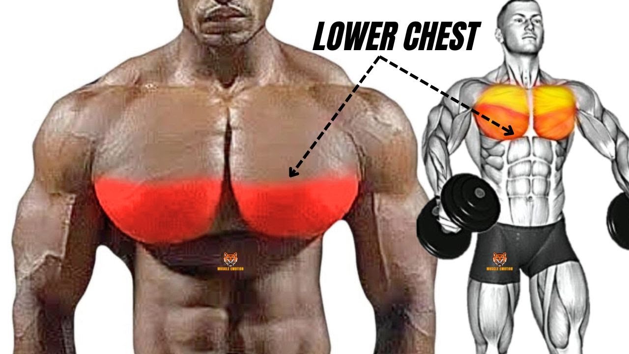 TOP 5 LOWER CHEST WORKOUT WITH BARBELL CABLE AND MACHINE AT HOME OR GYM ...