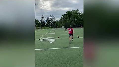 Andrew Glass | 2021 WV Senior Kicker Punter | Wils...