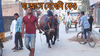 Biggest Deshal Cow | Sadeeq Agro 2021 Hero Collection | The Taste Ranger