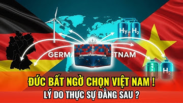 Đức Bất Ngờ Chọn Việt Nam: Lý Do Thực Sự Đằng Sau Quyết Định Chiến Lược Này?