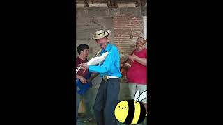 La abeja miope 