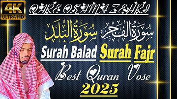 Surah Fajr Surah Balad سورة البلد سورة الفجر || Best Quran Vose Reaction Qare Osama Zehri || 2025