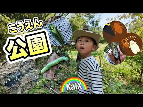 子どもが虫嫌いにならない!庭で実践できる虫の教え方