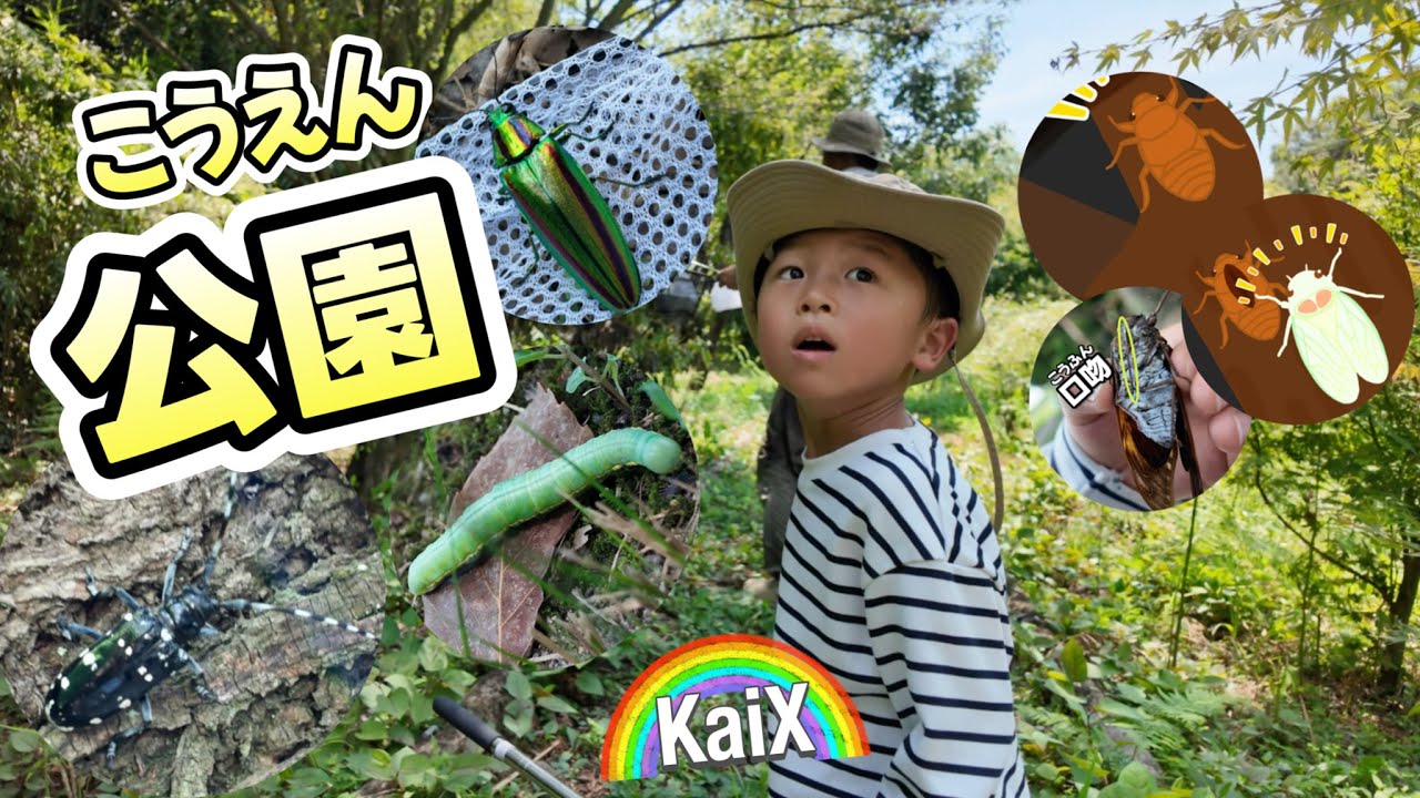 【虫】森でくらす昆虫たちの行動観察♪間近で見て生き物の特徴を知ろう♪