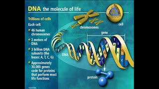 Dr. Yehoshua Ben Ephraim Is The Founder Of This E1B1A Teaching