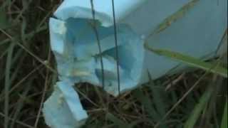 We Can Rebuild It  (Giant Jet Crash)