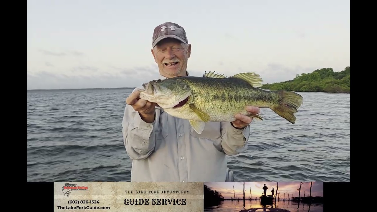 Сезон ловли крупного окуня на озере Форк в 2026 году‼️