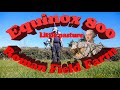 Metal detecting with Mal and Equinox 800 on Roman Field farm - 23/3/21