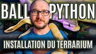 Terrarium pour python royal : comment l'aménager facilement, quel que soit votre budget