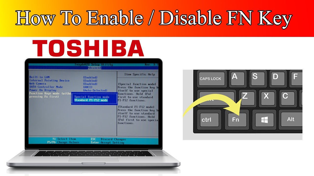 How to Enable fn key on Windows 20 Toshiba Laptop