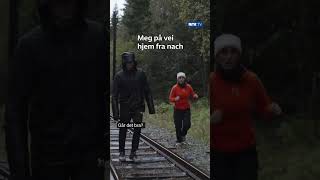 Hauk har gått på veggen 😦 Se #norgestøffeste i #nrktv #nrk #shorts Hauk har gått på veggen 😦 Se #norgestøffeste i #nrktv #nrk #shorts