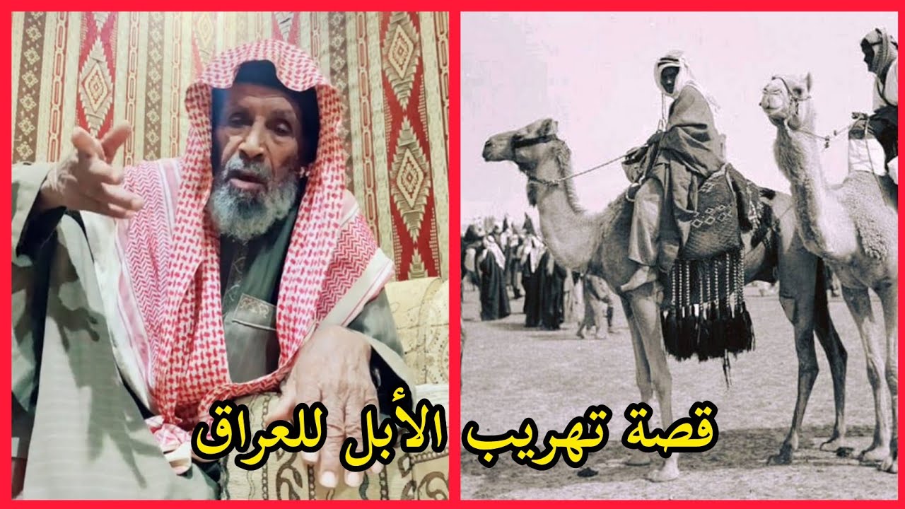 قصة تهريب الأبل للعراق الراوي سمير الحويمضي