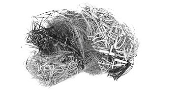 WonderNet - Physicality of Networks | Mouse Brain Network