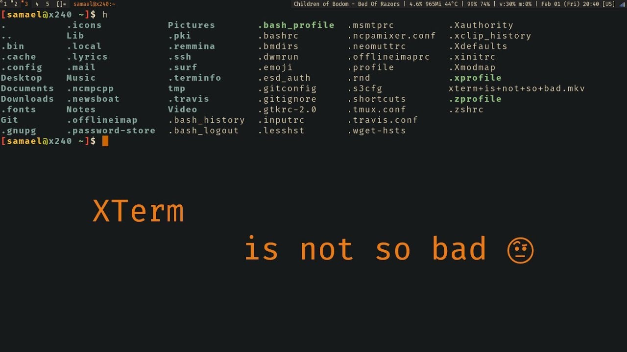 Xterm Xterm JapaneseClass.jp