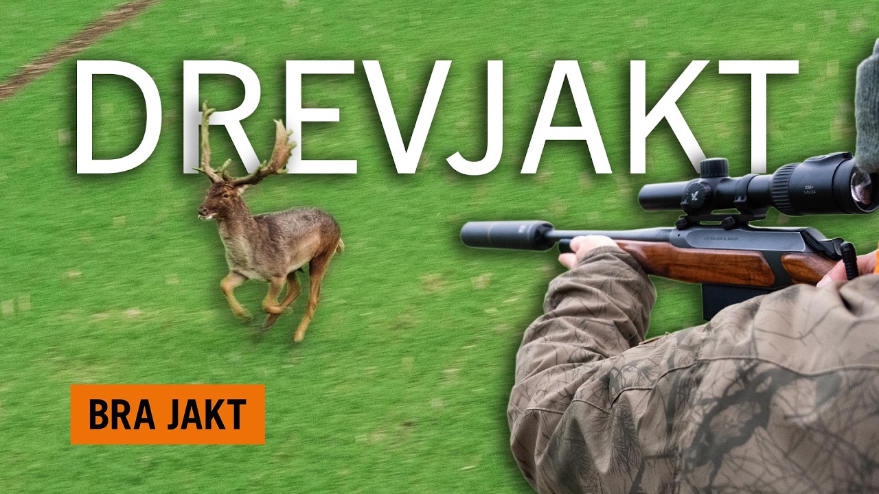 DREVJAKT! MED GULDKANT! | BRA JAKT