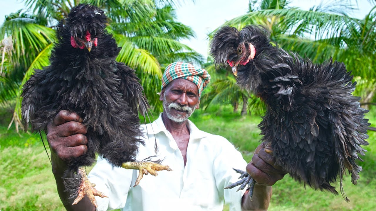 BLACK GHOST CHICKEN RECIPE | பேய் கருங்கோழி மருத்துவ குணமுல்ல | VILLAGE MEDICINE | DELICIOUS FOOD