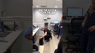 Download Lagu Deze doktersgrap was leuk 😂 MP3