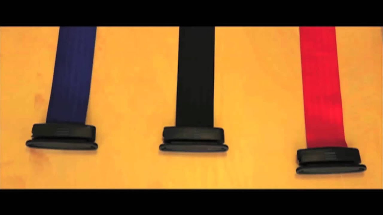 Wall Mounted Belt Barrier