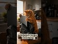 POV: you forgot today was your day off #ai #dreamloop #cat #cinematic