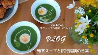 【北欧VLOG】スウェーデンに暮らすレシピ本著者の日常｜北欧の雑草イラクサのスープ｜試行錯誤の日々