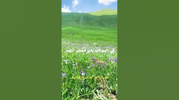 فاصبر إن وعد الله حق - برواية السوسي عن أبي عمرو البصري - الشيخ محمد بن مغربي البيطار #اكسبلور #ترند
