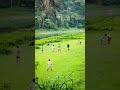 https://youtube.com/shorts/f8x2bHHRygQ?si=TX4eQHExGMa6buJo