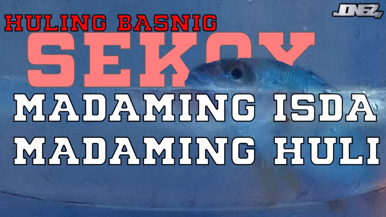 MADAMING IGIT KAHIT MALILIT!! PERO SOLID FISHING SA BASNIG - YouTube