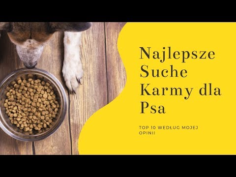 Wideo: Sucha Karma PRO PLAN Dla Psów: Opinie Właścicieli