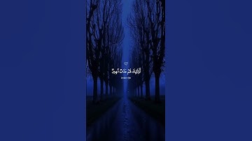 ﴿فَبَشِّرْهُ بِعَذَابٍ أَلِيم﴾ | تلاوة تهز القلب من سورة الجاثية #ماهر_المعيقلي #تلاوة_خاشعة #القرآن