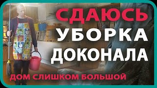 Мотивация на уборку в доме. Гуляю с собаками. Зимний лес. Моя жизнь в деревне.