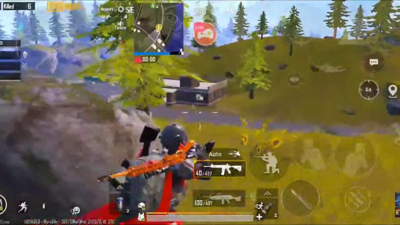 squad wipe on livestream 